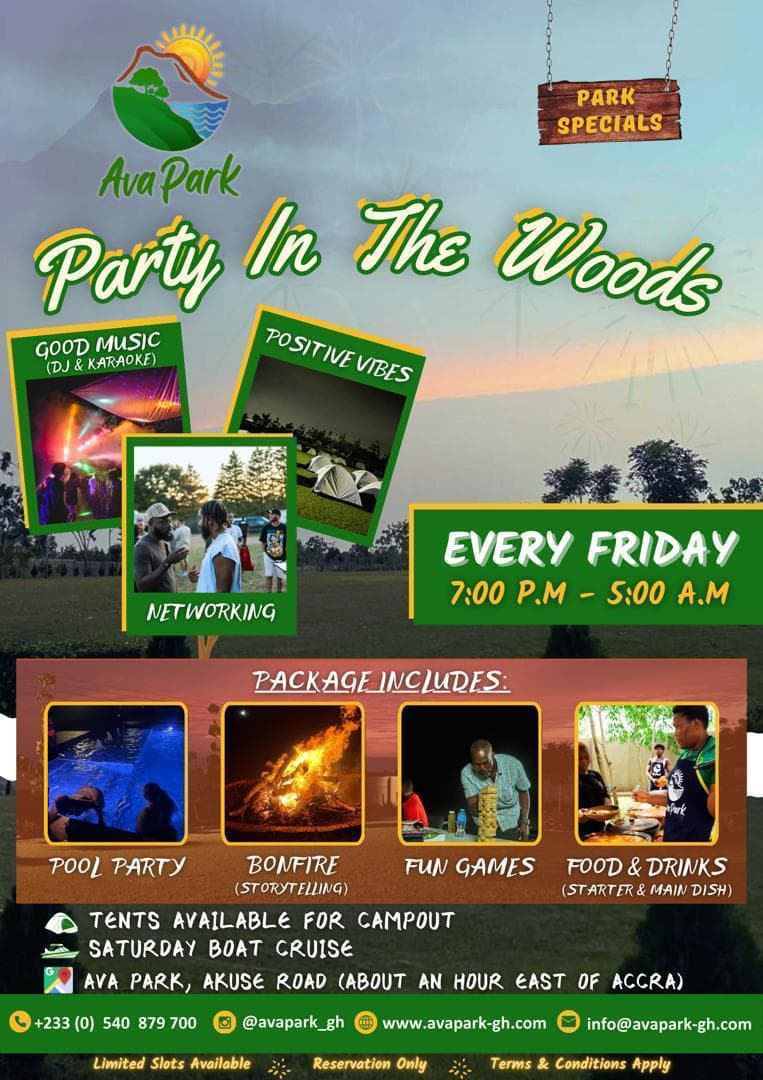 Party In The Woods gallery