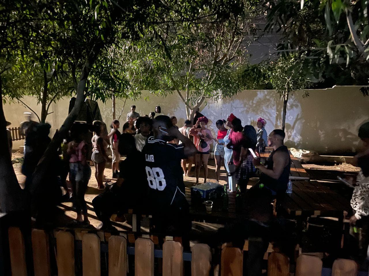 Party In The Woods